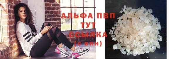 гидра Липки