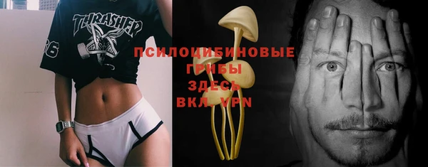 дурь Лиски