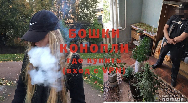 МДПВ Лихославль