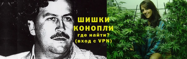 гидра Липки