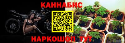 прущие крисы Кандалакша