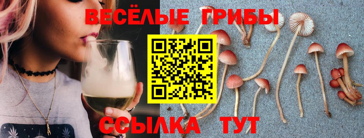 Галлюциногенные грибы ЛСД Электрогорск