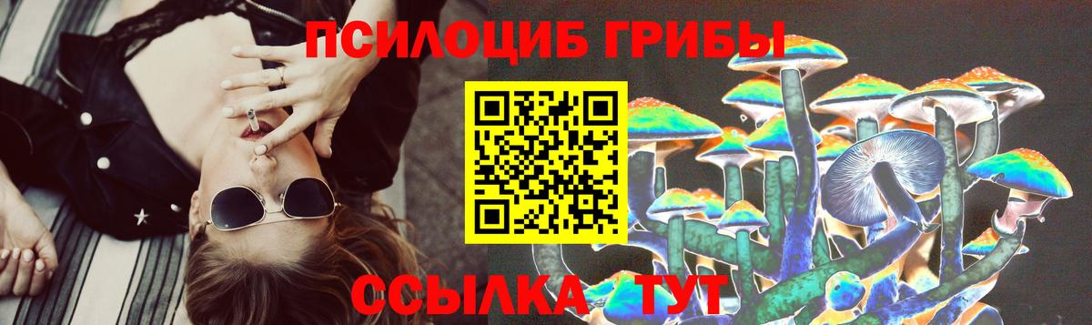 где можно купить   Псилоцибиновые грибы Cubensis  Электрогорск  Псилоцибиновые грибы GOLDEN TEACHER 